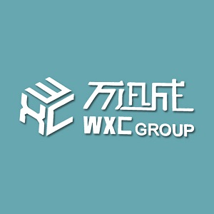 万迅成集团